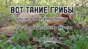 ВОТ ТАКИЕ ГРИБЫ (или не всё коту масленица)