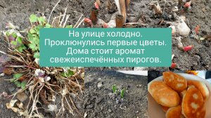 15-04-2026Холодно,первые цветы ,аромат свежеиспеченных пирогов.