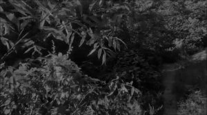 Иллюстрация - С.А. ( Стихи мои, голос, музыка ИИ)