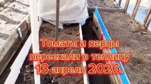 Житьё-бытьё и немного вязания.