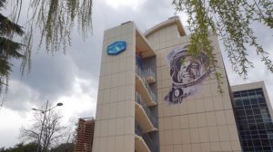 ЗНАКОМИМСЯ С «АРТЕКОМ: УСЛОВИЯ ПРОЖИВАНИЯ ДЕТЕЙ