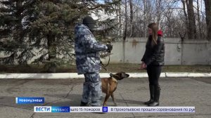 На пенсию с оркестром: служебная собака Николь ушла на заслуженный отдых