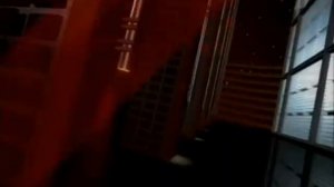 Большая разница - Человек и закон