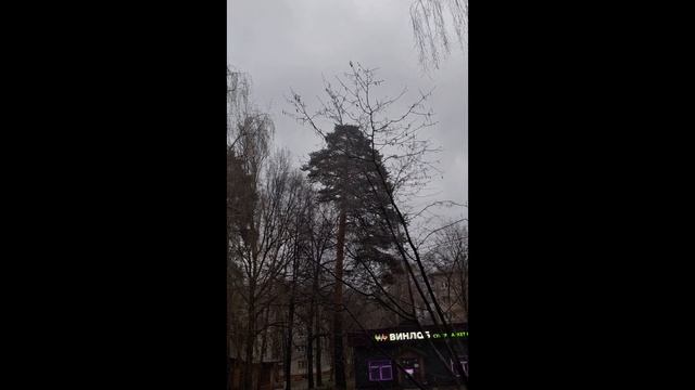 ⚡Ultra Rain 2026⚡