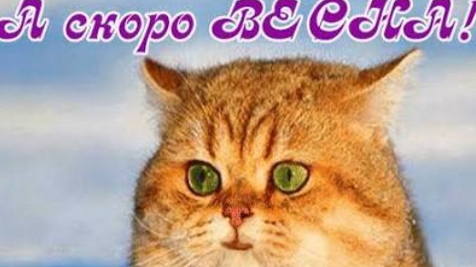 СП Вязальный переполох А скоро Весна!!! Отчет Апрель 1 с Еленой Велиной