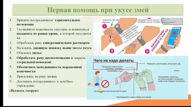Лекция 15.6. Укусы змей, насекомых