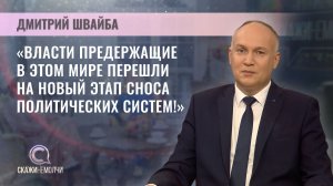 Политический эксперт, кандидат экономических наук | Дмитрий Швайба | Скажинемолчи