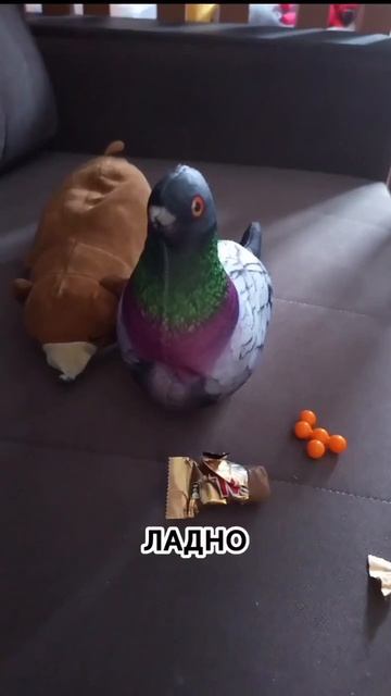 соревнования пунь пуня 2 сезон 1 серия