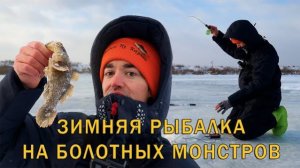 Открыл первый лёд на болоте! Рыбы лупят приманку целиком. Ловля в отвес со льда.