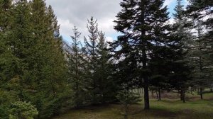 Поездка в дендропарк.🌲🌲🌲Жакет «ВЕНЕЦИАНСКИЙ КАРНАВАЛ»🎭