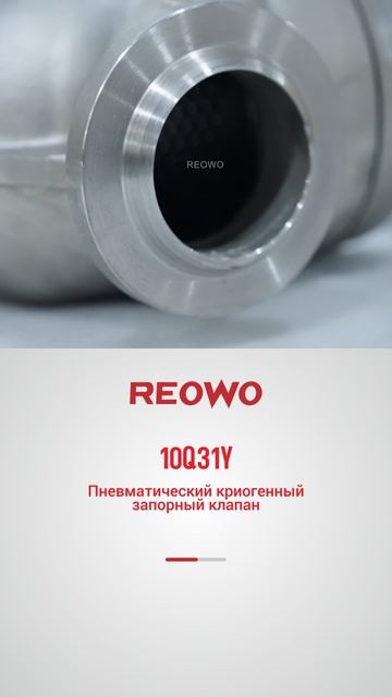 10Q31Y Пневматический криогенный запорный клапан-REOWO