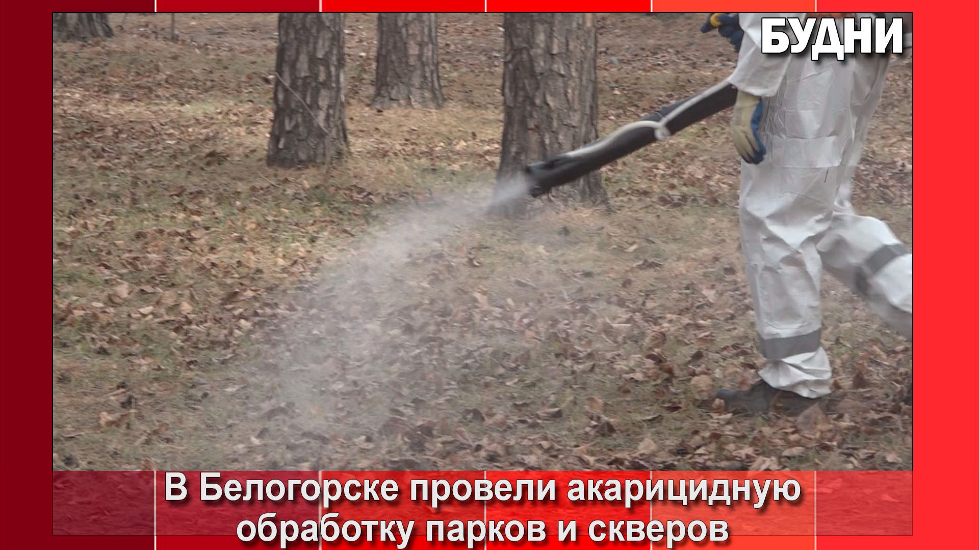 Парки и скверы Белогорска обработали от клещей