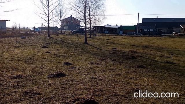 Калининград. 2 участка по 12 соток