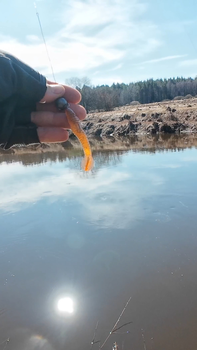 Как поймать щуку мойбудни