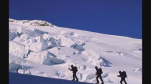 ПОТРЯСАЮЩАЯ МУЗЫКА МГНОВЕННО УСПОКАИВАЕТ И ПОМОГАЕТ ПОЛНОСТЬЮ РАССЛАБИТЬСЯ