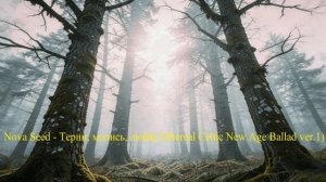 Nova Seed - Терпи, молись, люби( Ethereal Celtic New Age Ballad ver.1)