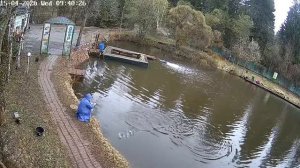 Сопротивляется достойно