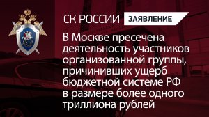 Пресечена деятельность участников организованной группы, причинивших ущерб бюджетной системе РФ