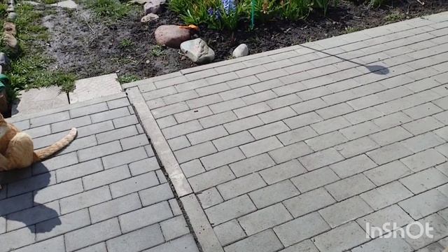 13.04.2026 второй день пасхи раскраски как живут в русской деревне..