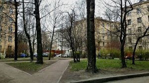 Утренний двор. Моросит дождь ( 15 апреля 2026 года )