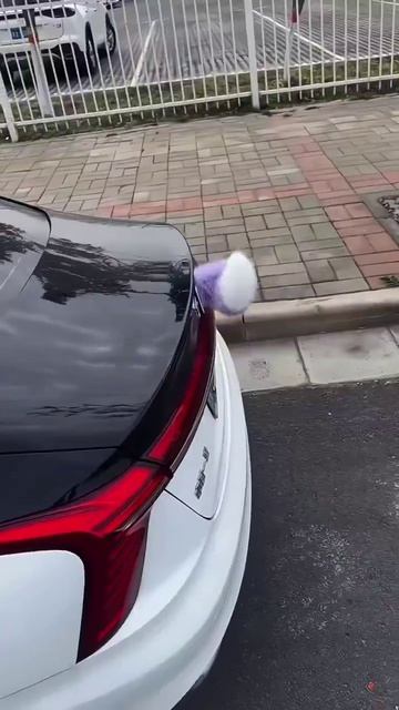 Фурри-мобили захватили дороги Китая. 

Люди начали массово цеплять на свои автомобили механические х