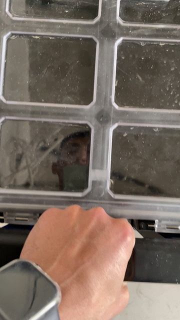 Система хранения Workpro | Первое впечатление #ремонтфеодосия #workpro