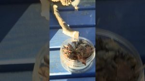 Гуляем с друзьями и страдаем фигнёй,🫪😜🤪😝😛