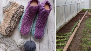 Мои будни. Огород и вязание