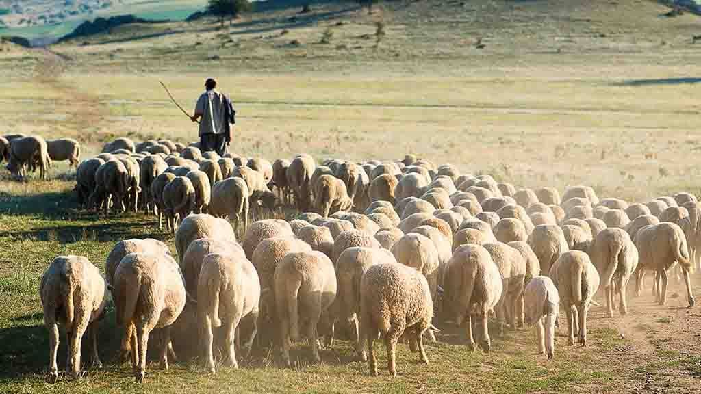 29 05 2022 Павел Райн Путь Давида наверх