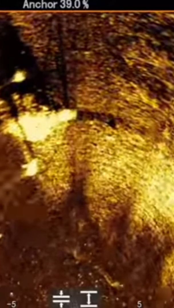 Active Target 2XL New