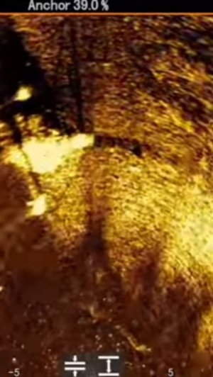 Active Target 2XL New