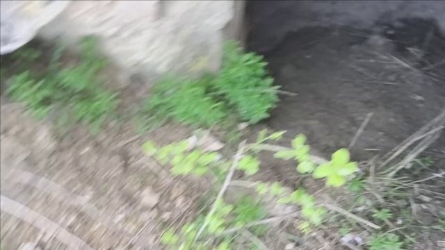 Керчь. Героевское. Памятник аллея склепов море 15.04.26