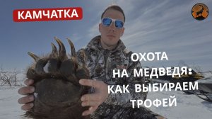 КАМЧАТКА | МЕДВЕДЬ | ВЫБОР ТРОФЕЯ | РЕАЛЬНАЯ ОХОТА