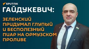 Гайдукевич объяснил, зачем Зеленский лезет в ближневосточный конфликт