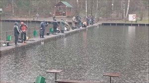 Неплохой старт в поимках форели в дождливый день на спорт зоне. Клёвое место лосиный остров