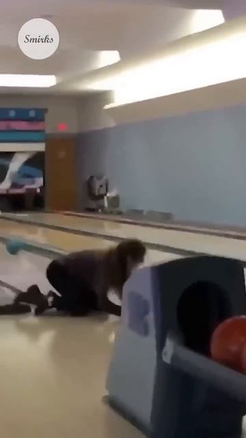 Клип @otdel_krinzha