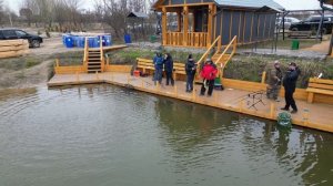 А вам нужен обзор с воздуха?Чайки