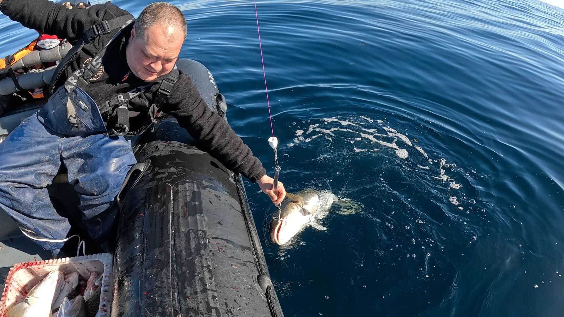 Охота на треску в Баренцевом море