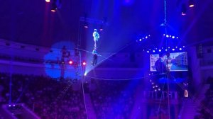 Цирк Слоны и Тигры