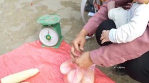 Сбор гигантских побегов бамбука в лесу на продажу - Жизнь в лесу