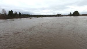 Половодье 2022 года съемка 28 апреля.