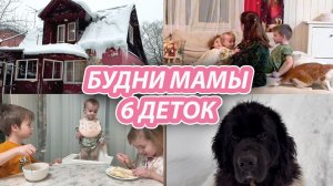 БЫТ МНОГОДЕТНОЙ СЕМЬИ С 6 ДЕТЬМИ 🌼 Как мы живем? Наш дом