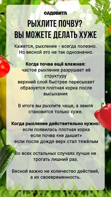 Рыхлите почву? ВЫ МОЖЕТЕ СДЕЛАТЬ ХУЖЕ!