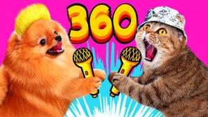 КисКис: Петскавер! Питомцы поют и танцуют 🎤🐾