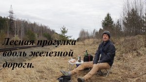 Лесная прогулка вдоль железной дороги (полная версия).