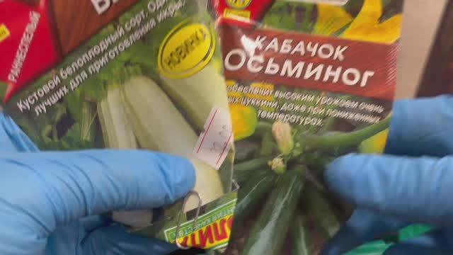 Сажаю кабачки любимым способом.