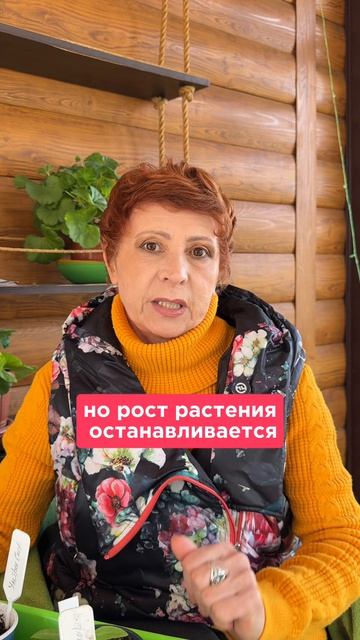 Не поливайте ХОЛОДНОЙ ВОДОЙ!