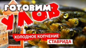 Как приготовить рыбу. Ставрида Черноморская холодного копчения. Простой рецепт. Морская рыбалка