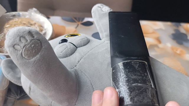 кот батон и отпуск