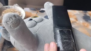 кот батон и отпуск